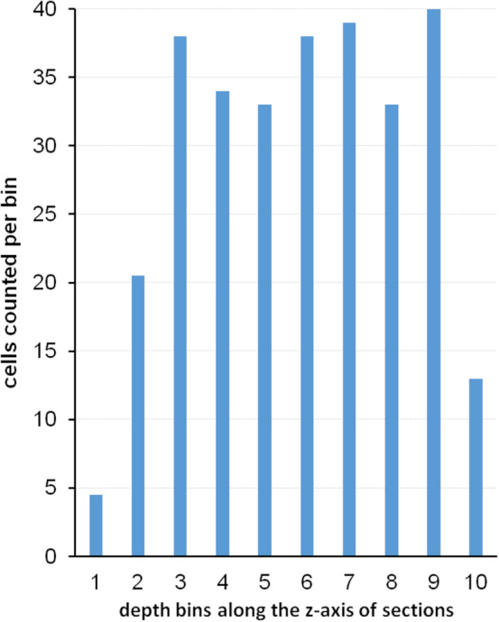 FIGURE 21