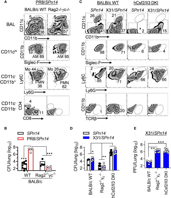 Figure 3