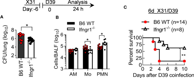 Figure 6