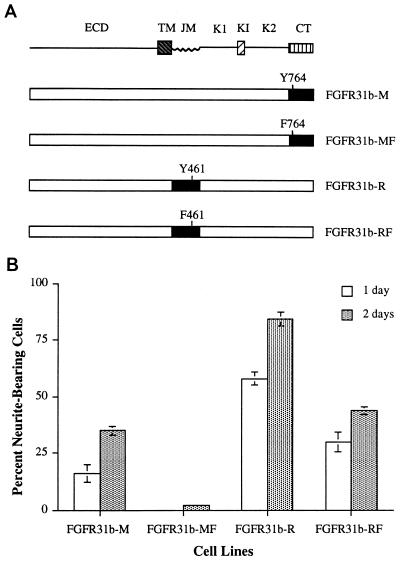 FIG. 9