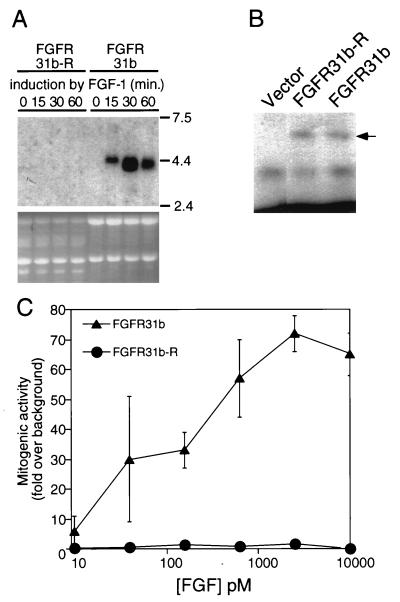 FIG. 11