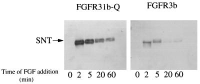 FIG. 8