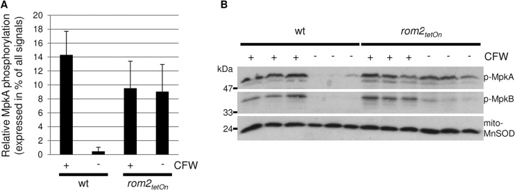 Fig 8