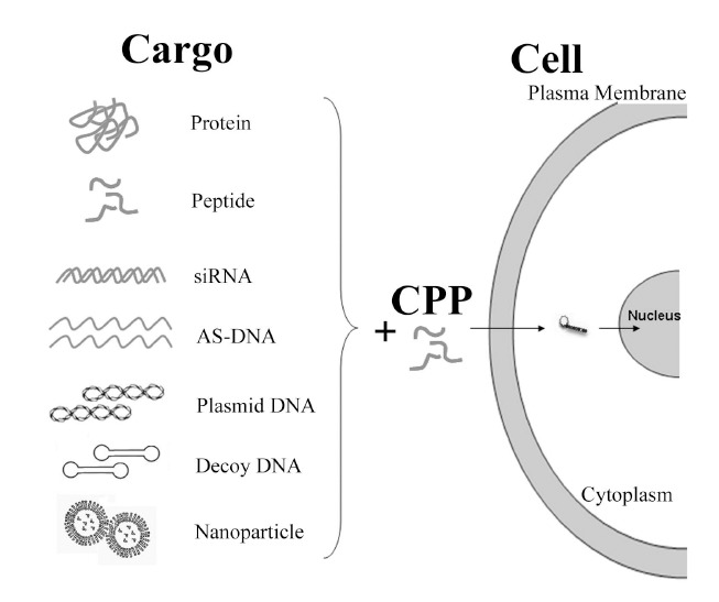 Fig. (1)