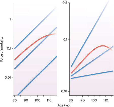 Box 1 | Dynamics of heterogeneous populations