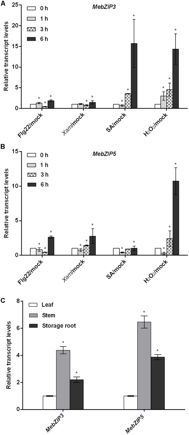 FIGURE 1