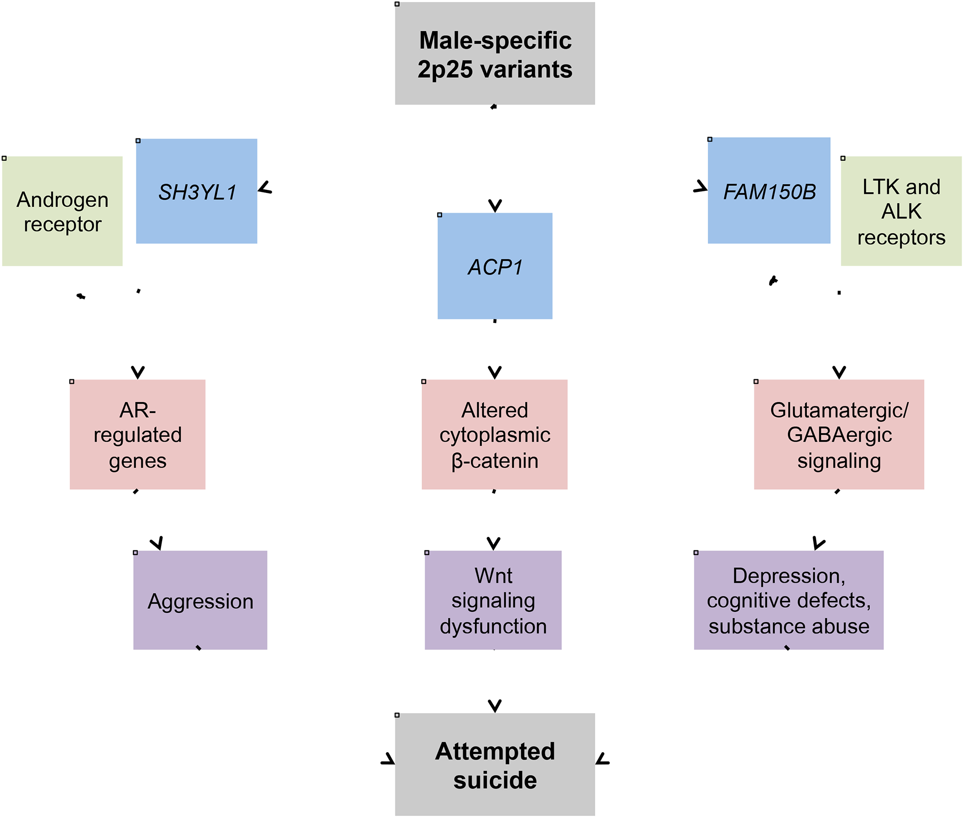 Figure 2: