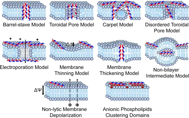 Figure 4