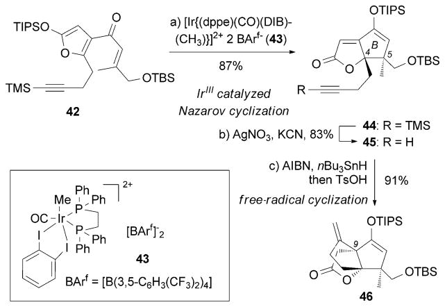 Scheme 5