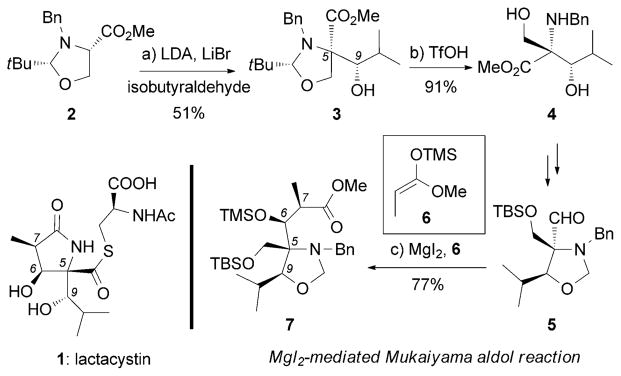 Scheme 1