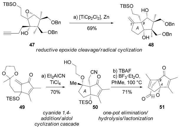 Scheme 6