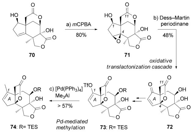 Scheme 11