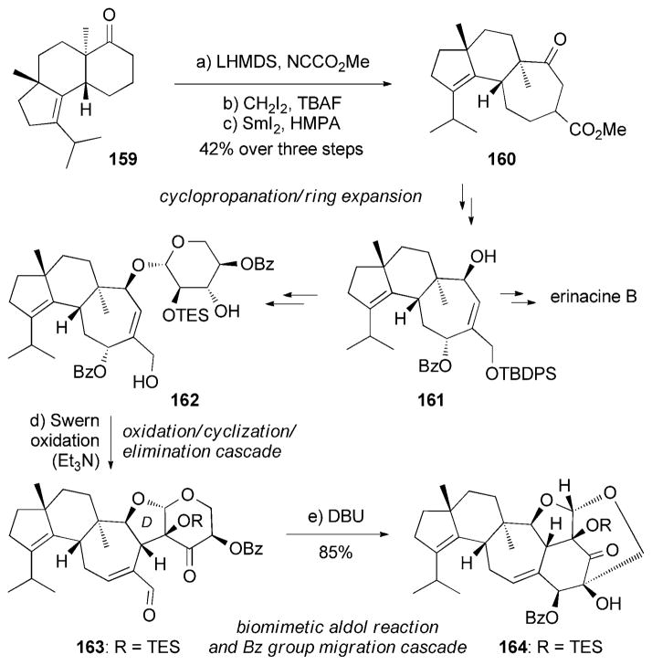 Scheme 25