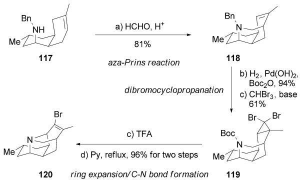 Scheme 19