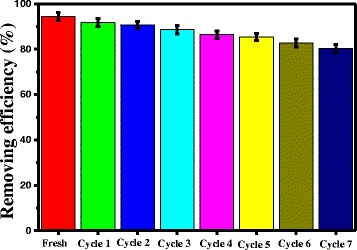 Fig. 10