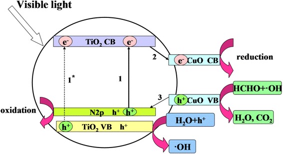 Fig. 9