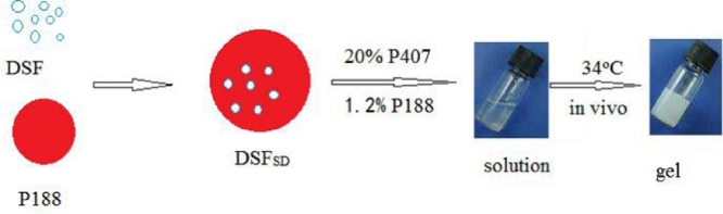 Image, graphical abstract