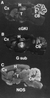 Fig. 8.