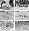 Fig. 9.