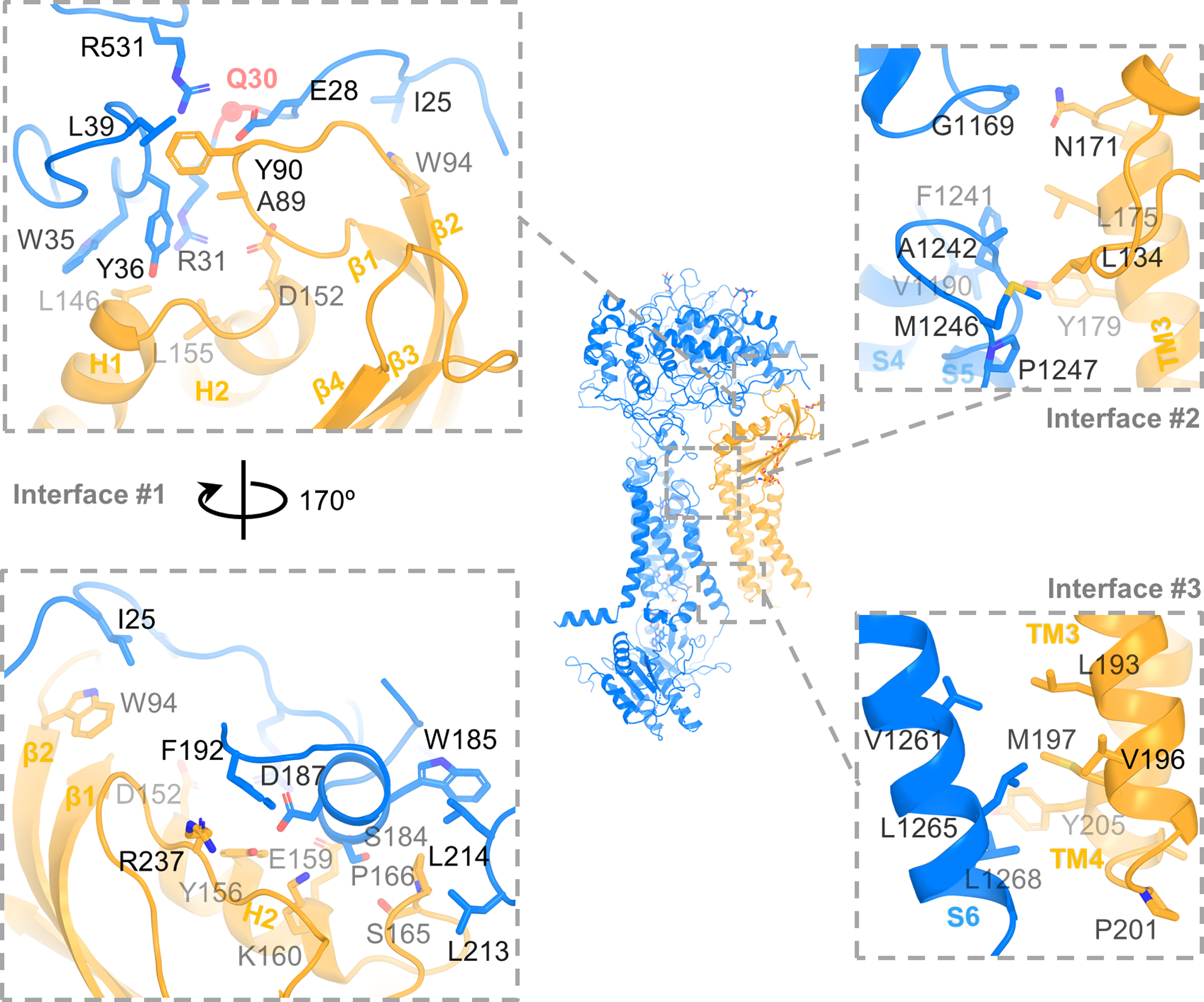 Fig. 2: