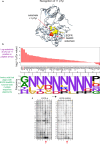 Extended Data Fig. 6