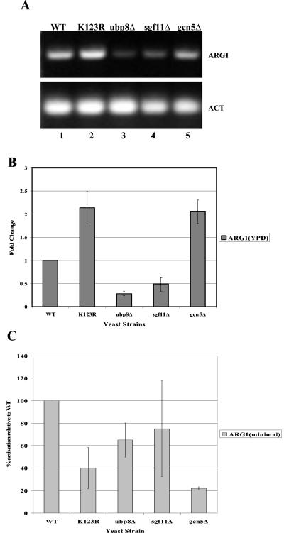 FIG. 6.