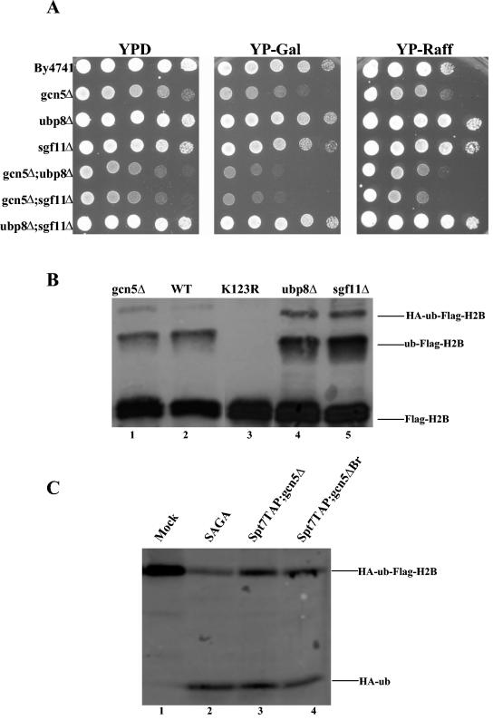 FIG. 4.