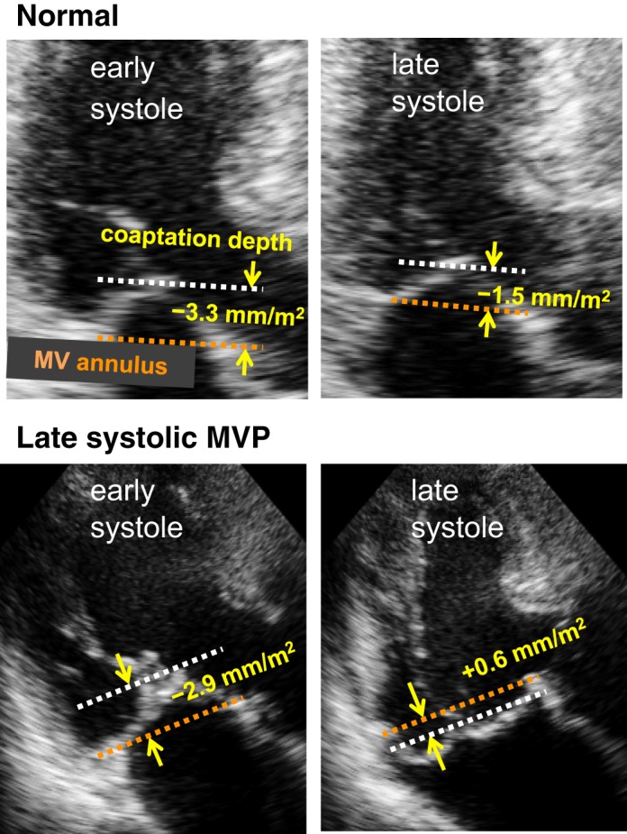 Fig. 3.