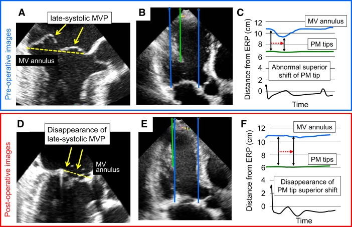 Fig. 6.