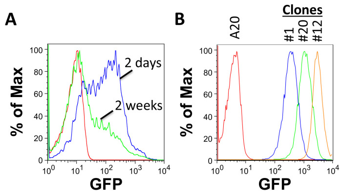 Figure 2.