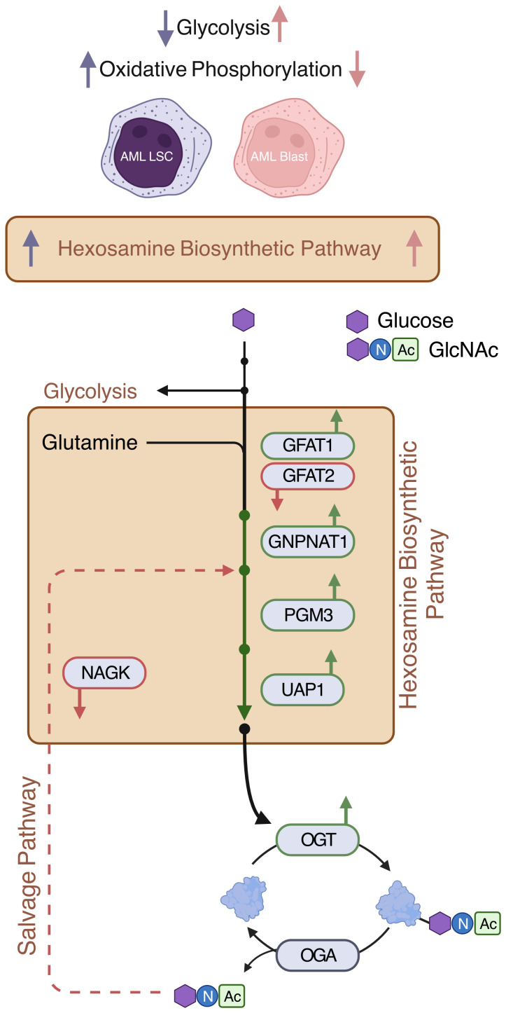 Figure 6