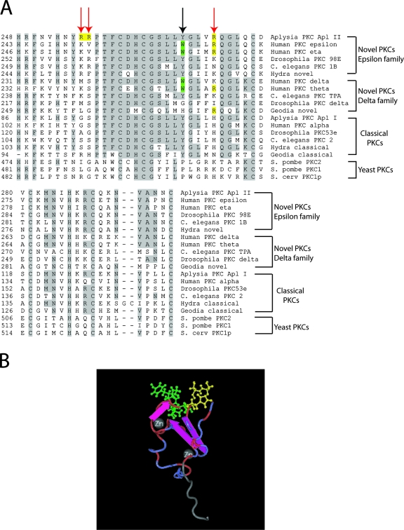 FIG. 2.