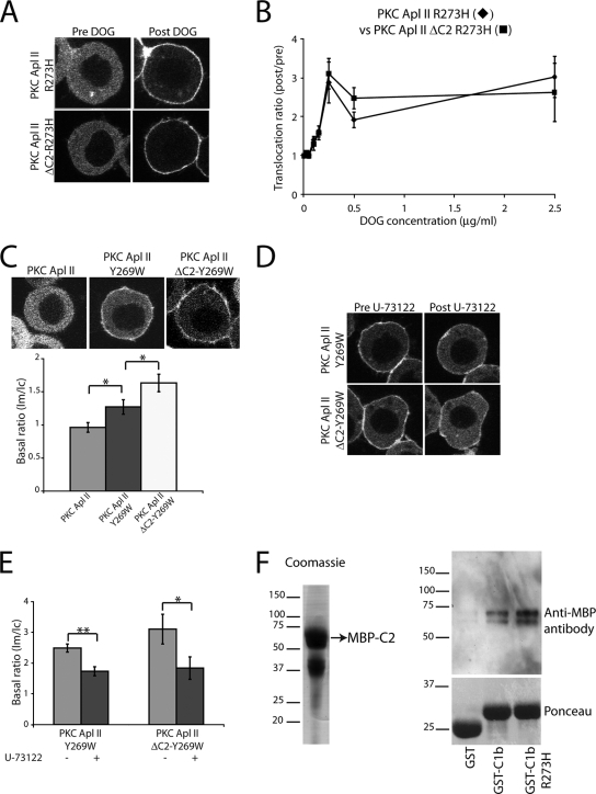 FIG. 8.