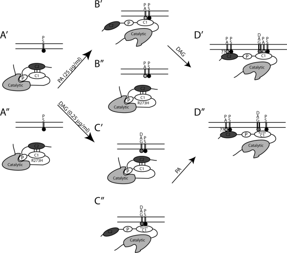 FIG. 10.