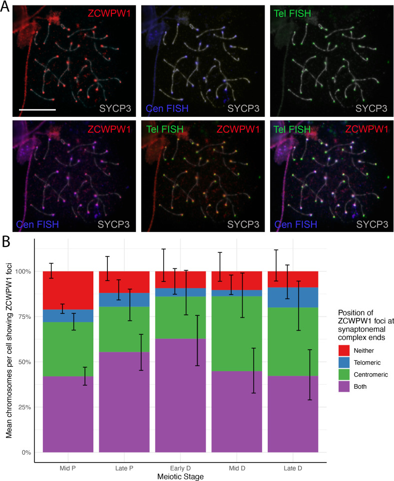 Figure 2—figure supplement 2.