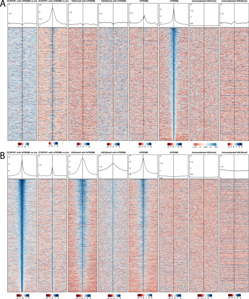 Figure 5—figure supplement 5.