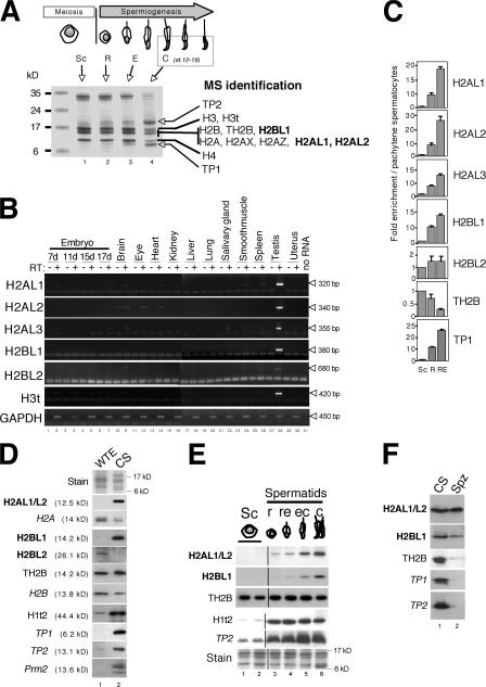 Figure 4.