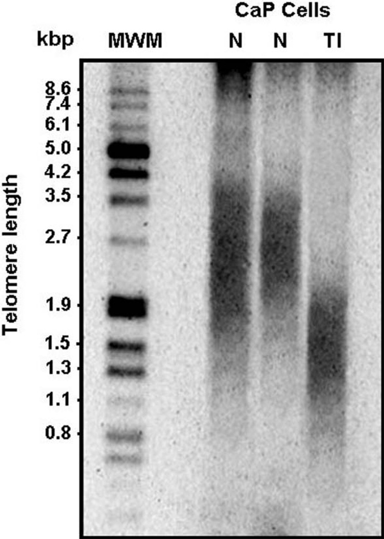 Fig. 25.3