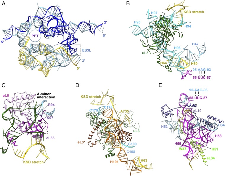 Fig. 2.