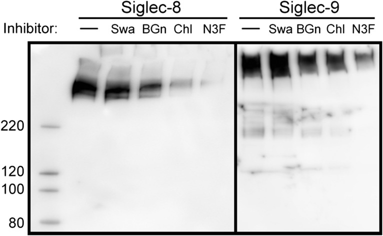 Fig. 9.