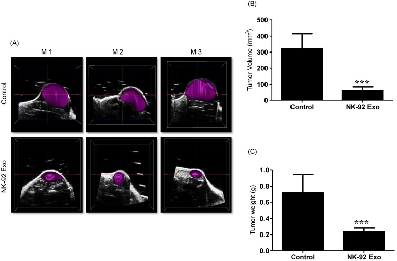 Fig 10