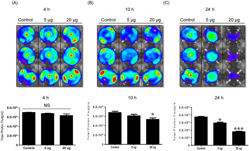 Fig 3