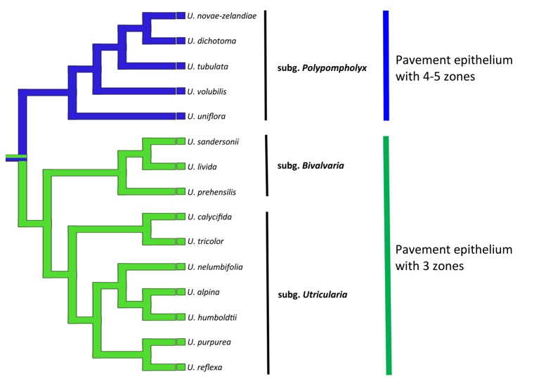 Figure 10