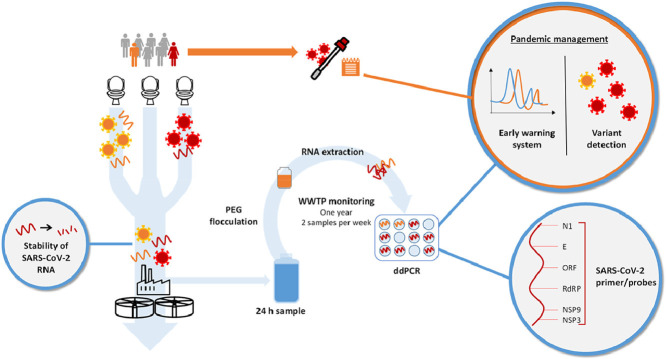 Image, graphical abstract