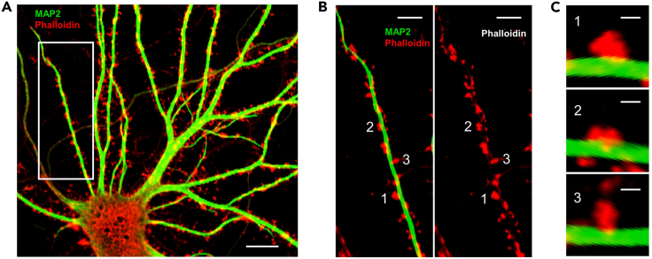 Figure 3