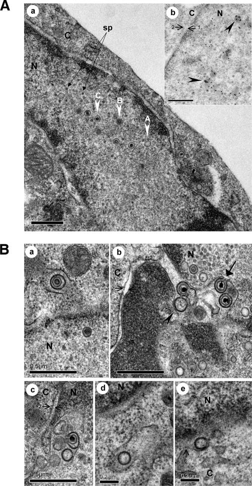 FIG. 4.