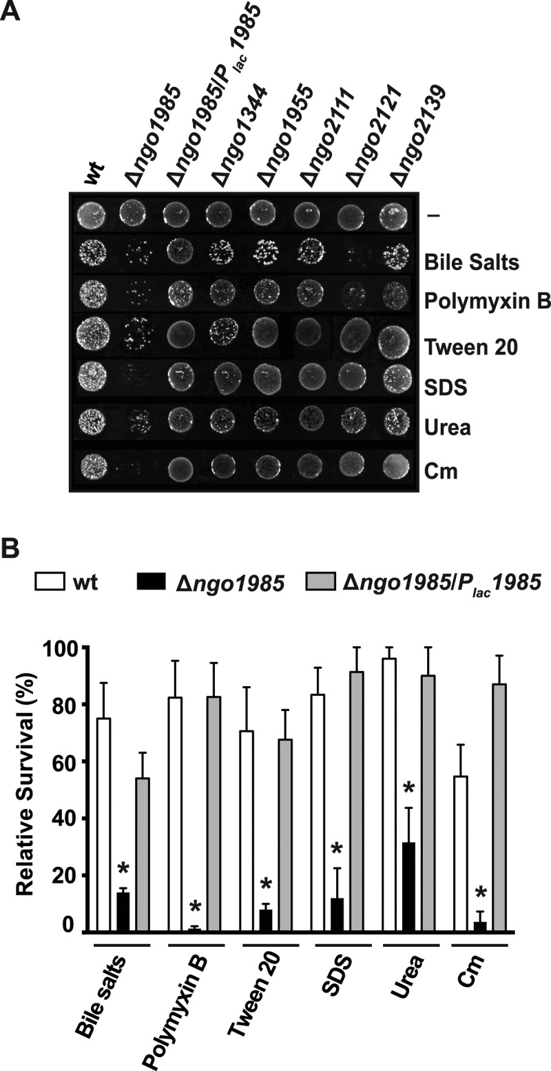 Fig. 6.