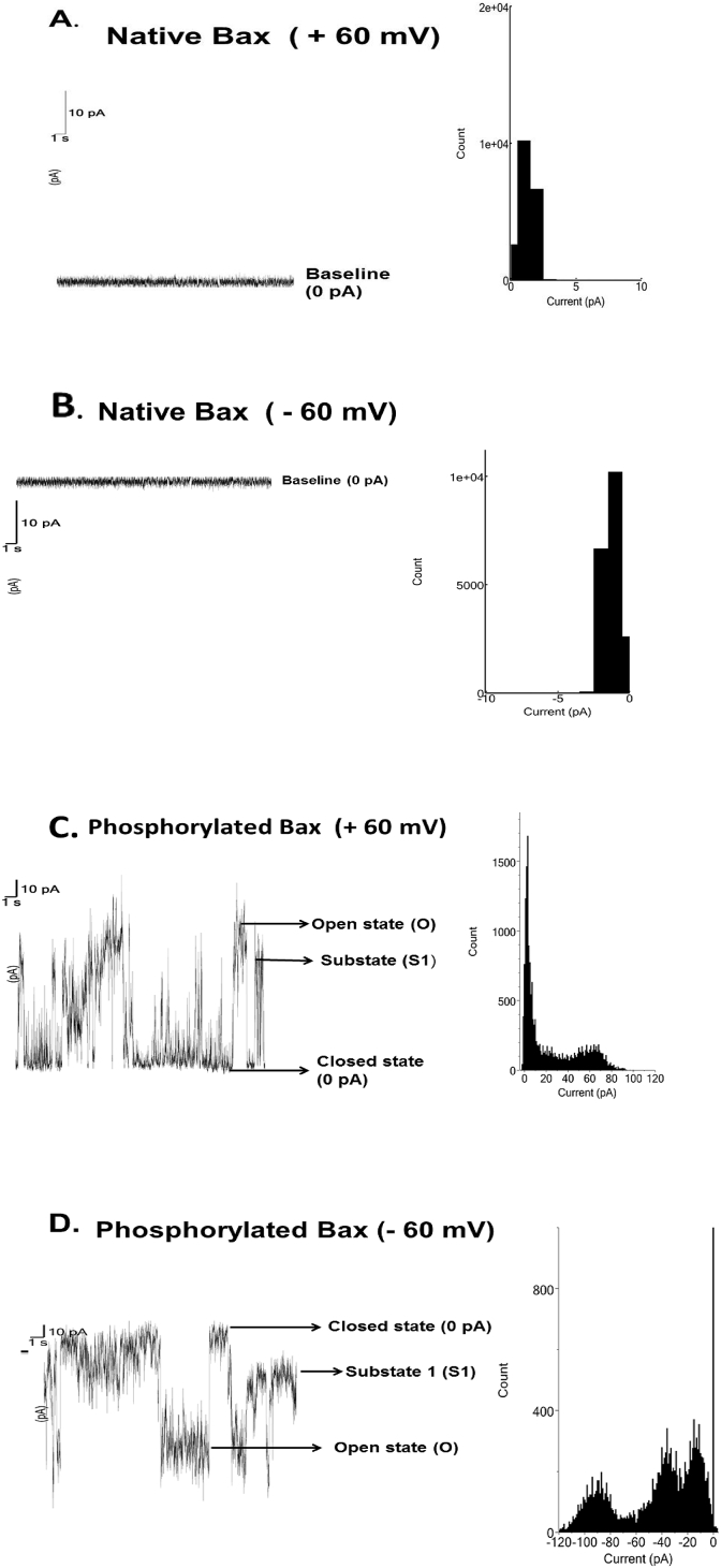 Fig. 2