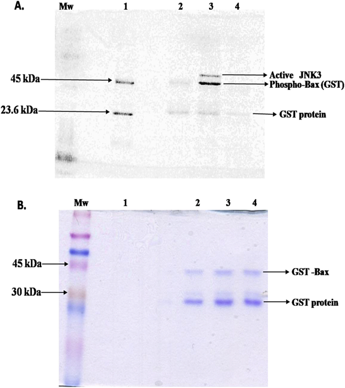 Fig. 1