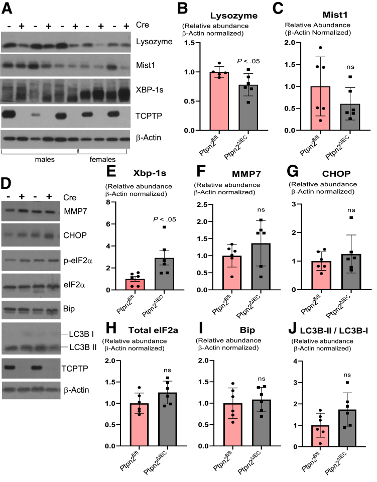 Figure 11